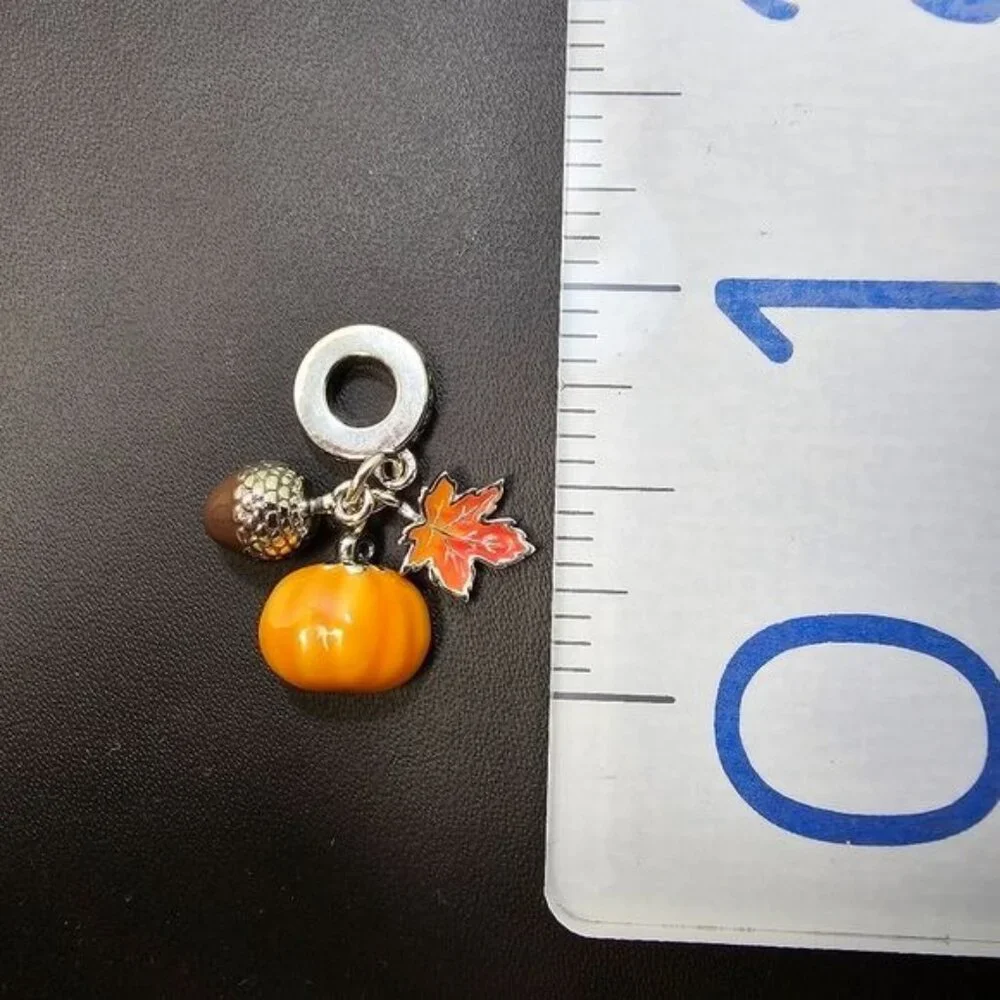 🎃 925 Silver Charm with Fall‎ Elements (NWOT)